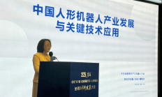 “低空飞行器-网联汽车-人形机器人”协同创新发展大会举行