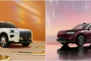 问界M9与极氪009：谁更适合你