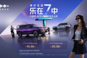 19.98万起闪充+长续航，钛7EV闪充版是要接着当冠军