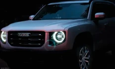 长城汽车近些年唯一稳定增长的，只有魏建军这个网络IP