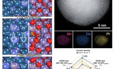 突破燃料电池瓶颈：韩国研究人员开发新型铂催化剂