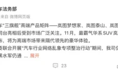 多账号被依法处罚！两车企法务部通报