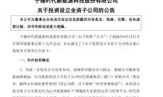 300亿元！宁德时代又有大动作