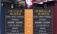 问界M9热销，极氪9X能撼动吗