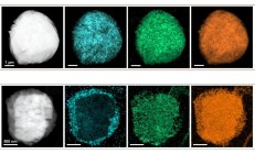 科学家发现提高固态电池能量密度和寿命的新方法